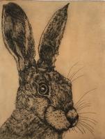 Fair Hare  by Sonia Rollo